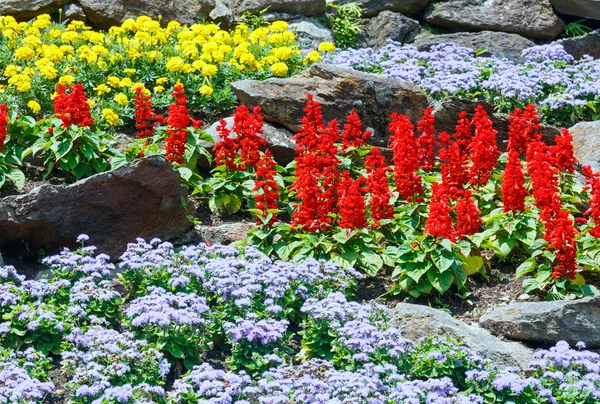 Paisajismo de flores — Foto de Stock