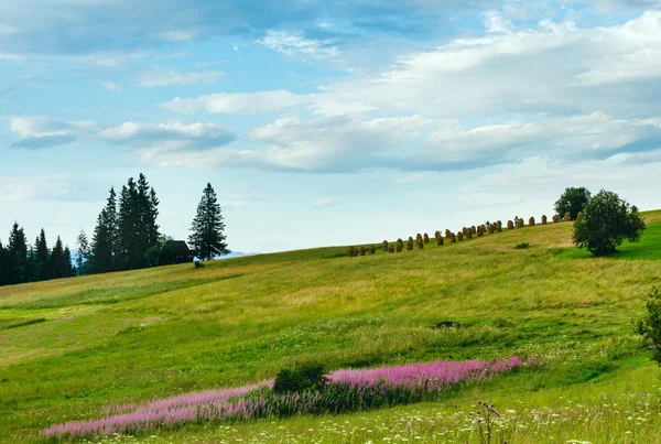 Estate vista montagna paese — Foto Stock