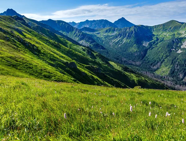 夏天塔特拉山波兰 — 图库照片