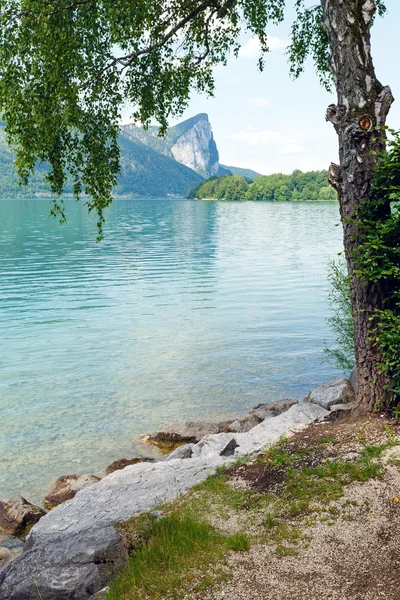 V létě jezero Mondsee (Rakousko). — Stock fotografie