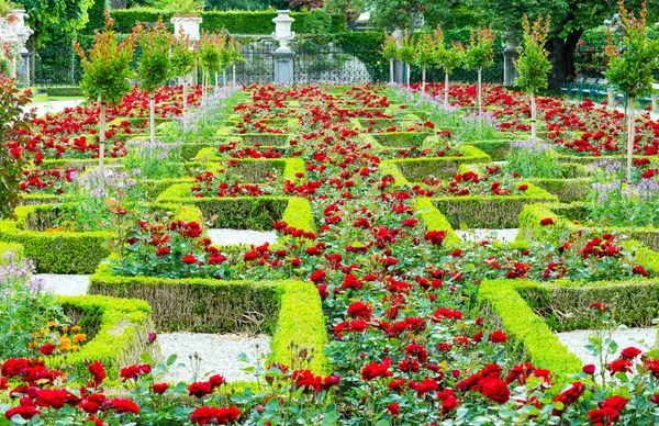 Paisajismo de flores —  Fotos de Stock