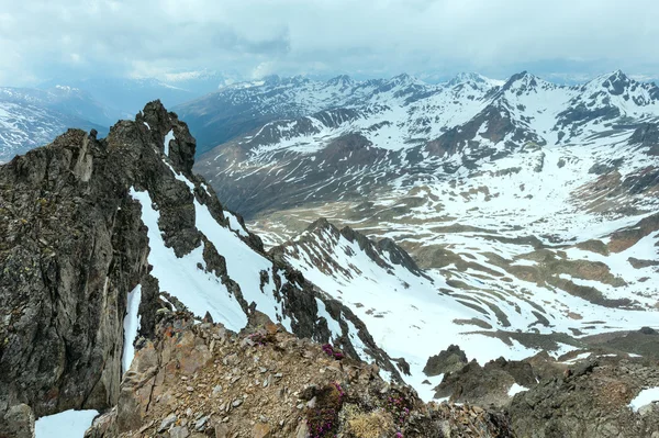 Alp flores sobre precipício de montanha e nuvens — Fotografia de Stock