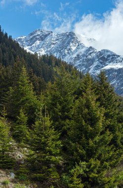 Silvretta Alpler yaz görünümü, Avusturya