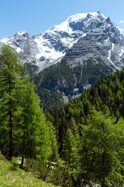 夏のステルヴィオ峠 (イタリア) — ストック写真