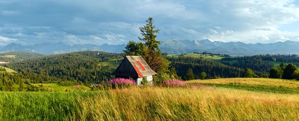 Zomer land bergpanorama. — Stockfoto