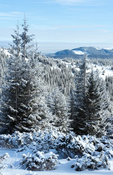 Matin hiver paysage de montagne — Photo