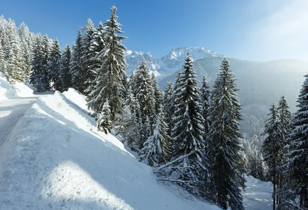 Mañana invierno montaña paisaje —  Fotos de Stock