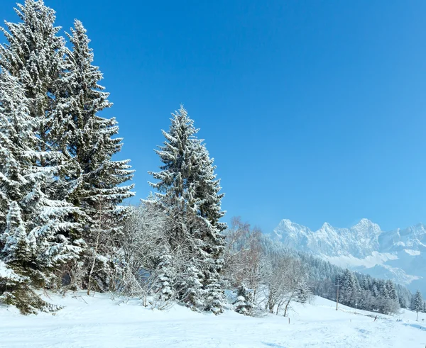 Ochtend winter berglandschap — Stockfoto