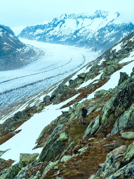 伟大的阿莱奇冰川 （bettmerhorn，瑞士) — 图库照片