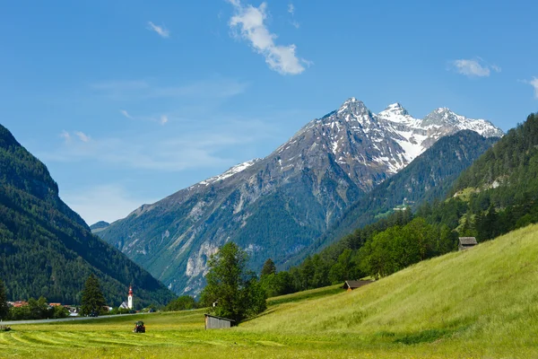 Vue campagne alpine d'été — Photo