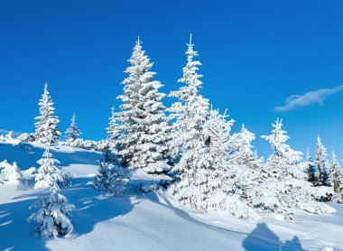 sabah kış dağ manzarası
