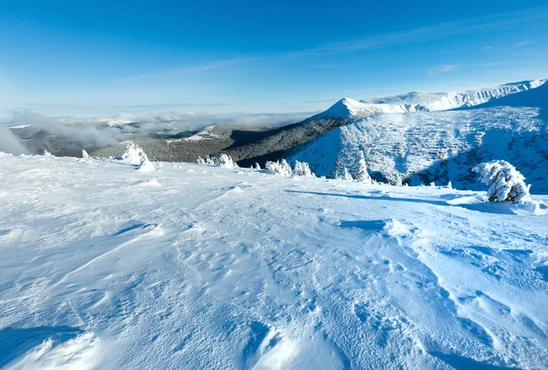 Paesaggio montano invernale con alberi innevati — Foto Stock