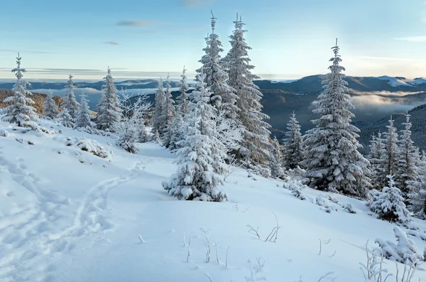 Mañana invierno montaña paisaje —  Fotos de Stock