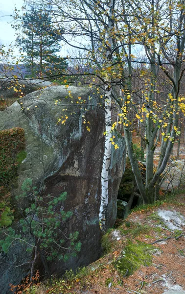 Höga stenar i skogen — Stockfoto