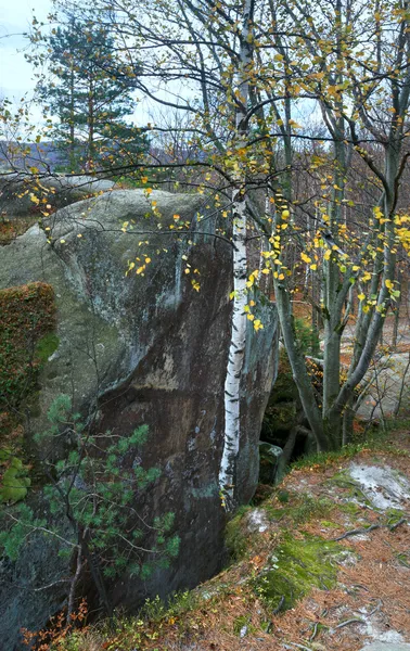 Verheven stenen in bos — Stockfoto