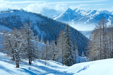 kış orman dachstein dağ massif yakınındaki