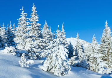 sabah kış dağ manzarası