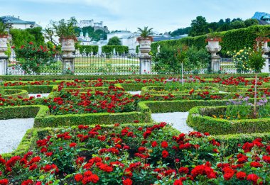 Yaz Bahçesi ile gül flowerbed (salzburg, Avusturya)