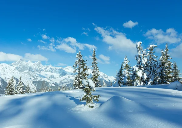 Hiver montagne sapin forêt paysage — Photo