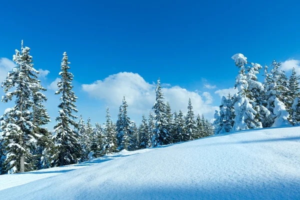 Vinterlandskap berg fir skog — Stockfoto