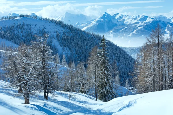 Floresta de inverno perto do maciço da montanha Dachstein — Fotografia de Stock