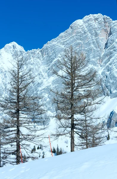 Winter rock with fresh fallen snow on top. — Stock Photo, Image