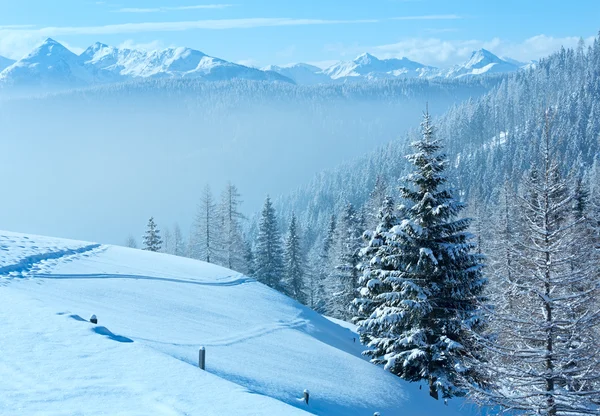 Manhã inverno nebuloso montanha paisagem — Fotografia de Stock