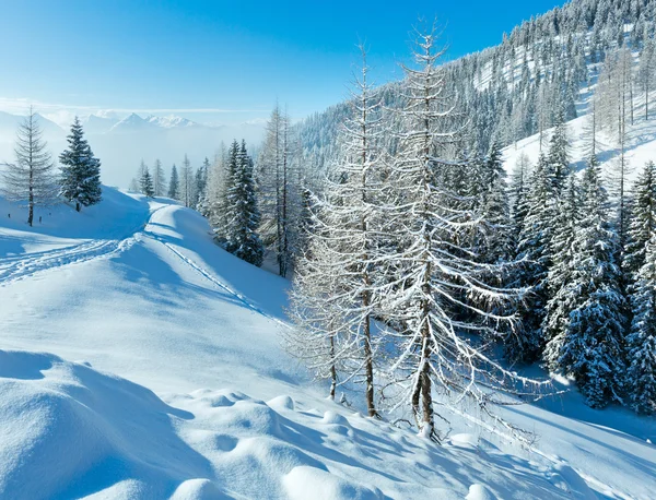 Mattina inverno nebbioso paesaggio montano — Foto Stock