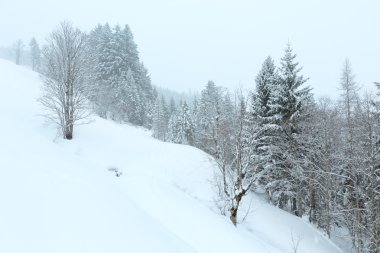 Kış puslu dağ manzarası