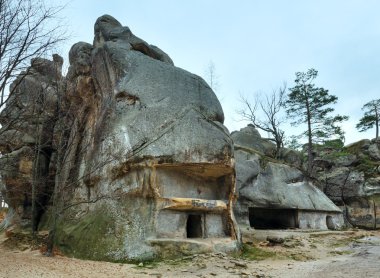 Rock'ta Ev ( 