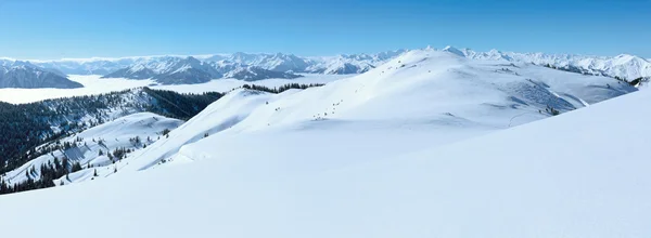 Nuvoloso paesaggio montano invernale — Foto Stock