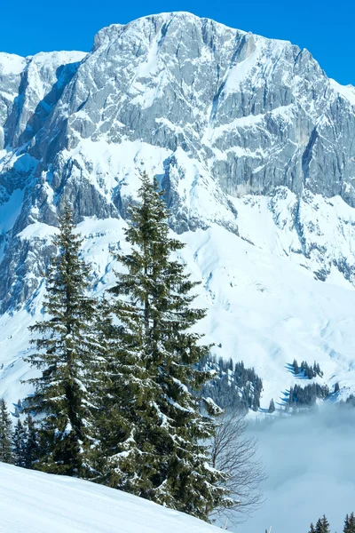 Inverno nublado paisagem de montanha — Fotografia de Stock