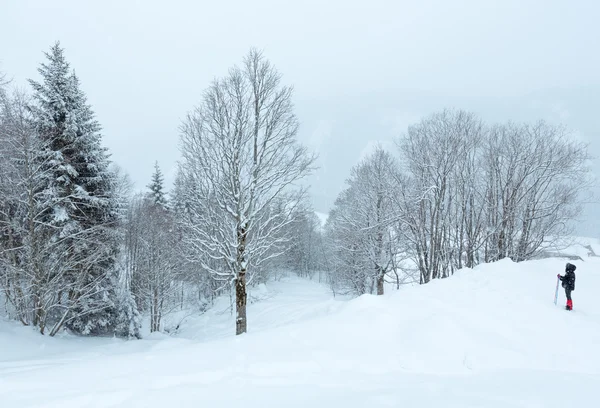 Inverno nebbioso montagna e donna a piedi — Foto Stock