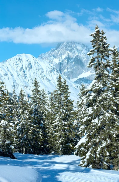 Zimowe góry jodła Las krajobraz — Zdjęcie stockowe