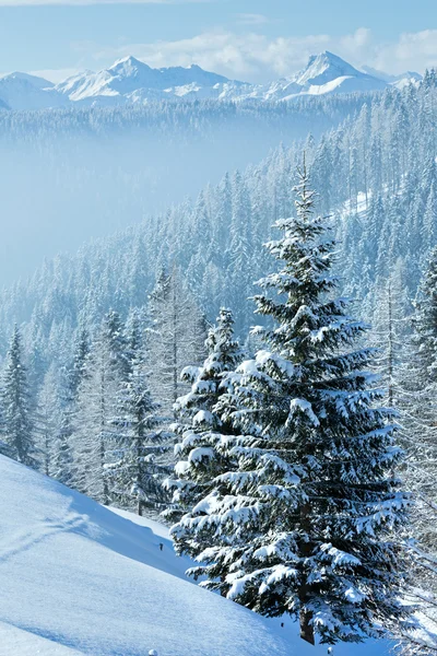 Morgen Winter neblige Berglandschaft — Stockfoto