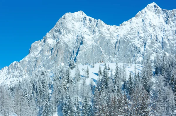 Rocha de inverno com neve fresca caída no topo . — Fotografia de Stock