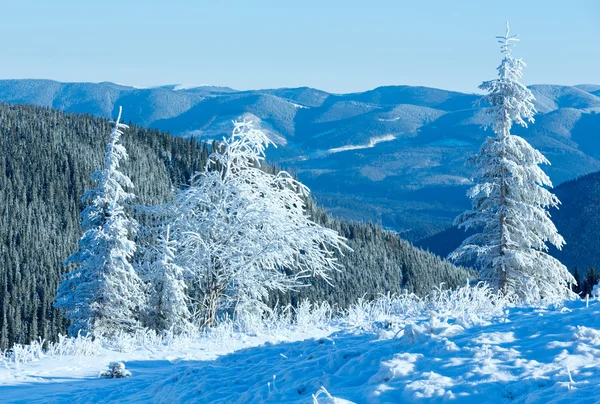 Ranní zimní horské krajiny — Stock fotografie