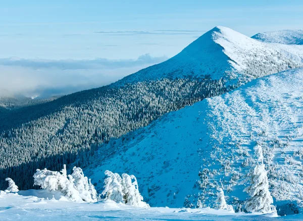 Paysage de montagne hivernal avec arbres enneigés — Photo