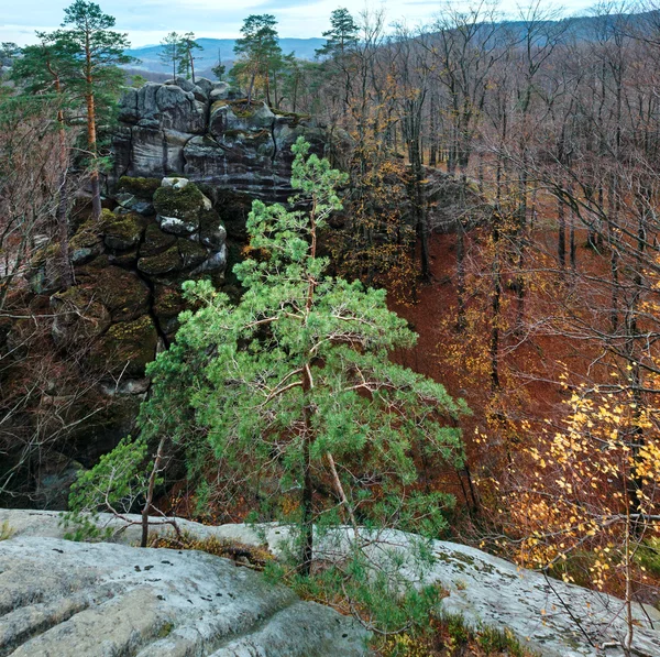 Bosque de montaña de otoño —  Fotos de Stock