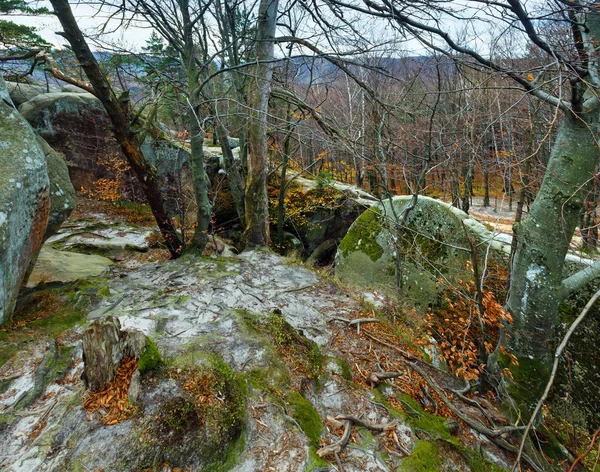 Lofty stones in forest — Stock Photo, Image