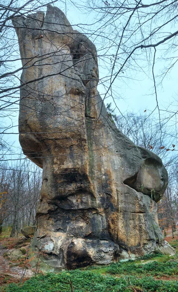 Piedras altas en el bosque —  Fotos de Stock