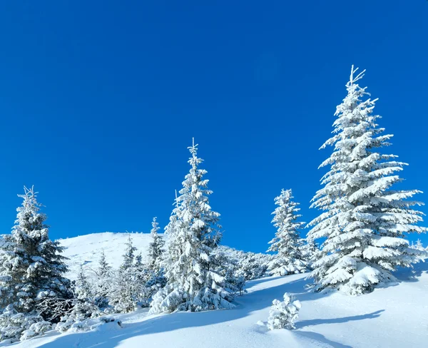 Mañana invierno montaña paisaje Fotos de stock libres de derechos