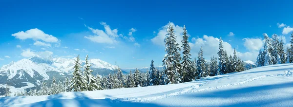 Panorama montano invernale . — Foto Stock