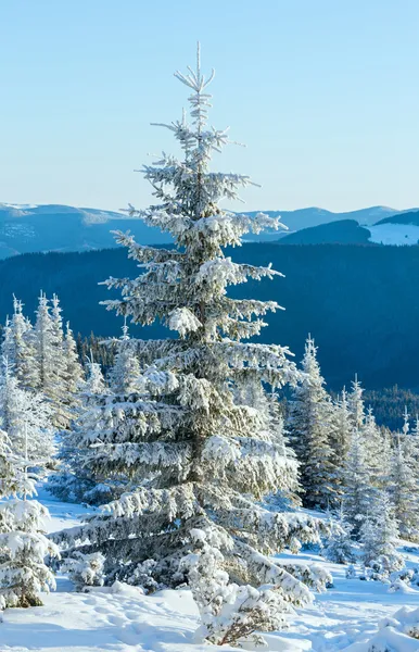 Ochtend winter berglandschap — Stockfoto