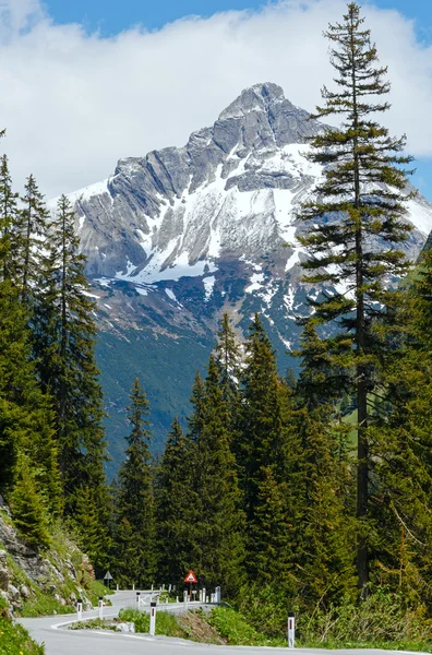 Estate Vista strada alpina — Foto Stock