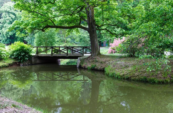 Sommerlicher Stadtpark — Stockfoto