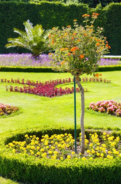 Paisajismo de flores — Foto de Stock