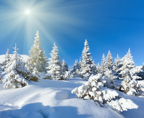 Rano zimowy krajobraz górski — Zdjęcie stockowe