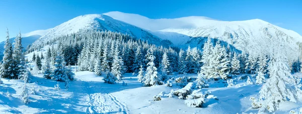 아침 겨울 산 풍경 — 스톡 사진