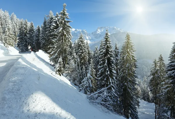 Ochtend winter berglandschap — Stockfoto